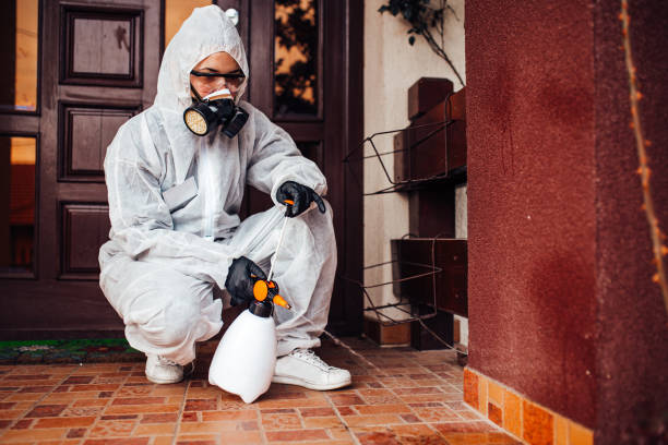 Reliable Ant Control contractor in Virginia Beach, VA by Show Me Pest Control